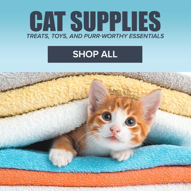 Cat Supplies